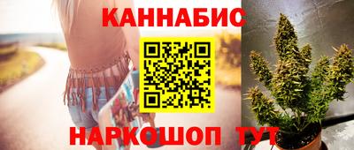гашик Камышлов