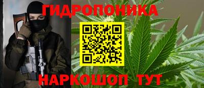 гашик Камышлов