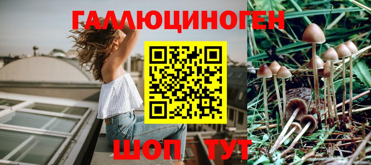 Галлюциногенные грибы GOLDEN TEACHER Можга