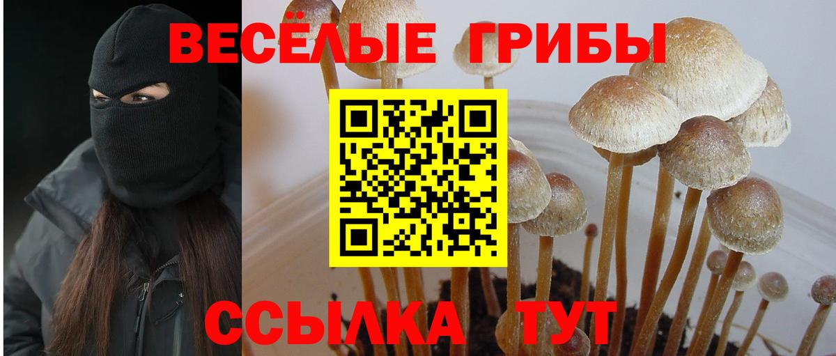 Псилоцибиновые грибы Cubensis  Вход с VPN  Можга  Галлюциногенные грибы мухоморы 
